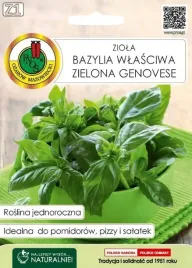 bazylia-wlasciwa-zielona-genovese-03g-nszpm004
