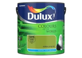 farba-do-wnetrz-kolory-swiata-25-l-dzikie-pnacza-dulux