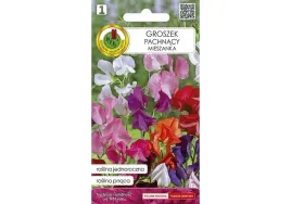 groszek-pachnacy-mieszany-1g-nskpm015