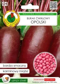 burak-cwiklowy-opolski-100z-ot-nswpo002