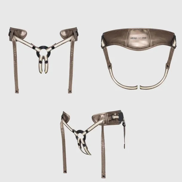 leatherette-harness-desirous-new-design
