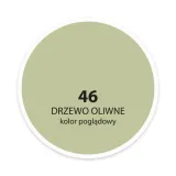 ppg-moc-koloru-drzewo-oliwne-25-l-marka-dekoral