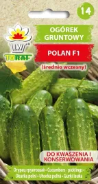 ogorek-polan-nasiona-5-g-036