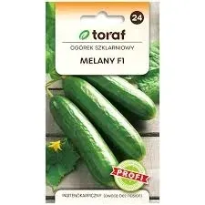 nasiona-ogorek-szklarniowy-melany-f1-toraf-035
