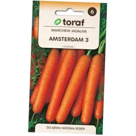 nasiona-marchew-amsterdam-3-5-g-toraf-025