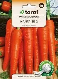 nasiona-marchew-jadalna-nantaise-2-5-g-toraf