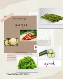 karty-edukacyjne-warzywa-pdf