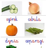 karty-edukacyjne-warzywa-pdf