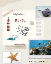 karty-trojdzielne-morze-pdf