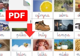 karty-edukacyjne-polskie-24-szt-pdf