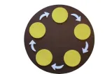 mata-cykl-zycia-5-elementow