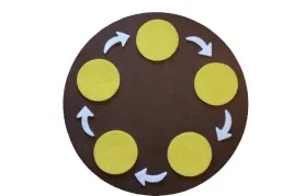 mata-cykl-zycia-5-elementow