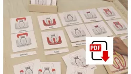 karty-trojdzielne-budowa-zab-pdf