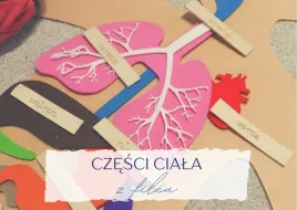 czesci-ciala-z-filcu