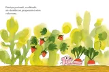 pomelo-wspomina-stan-opakowania-oryginalne