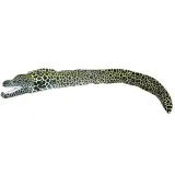 murena-ciemna-110cm