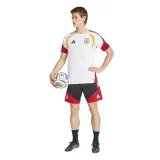kb4440-rozmiar-xl-kod-producenta-kb4440