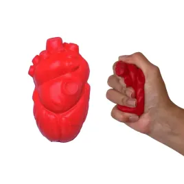 serce-anatomiczne-gniotek-antystresowy-z-pianki