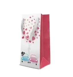 torba-premium-cars-inlove-10x7x22cm