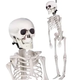 szkielet-czlowieka-sztuczny-kosciotrup-wiszacy-dekoracja-na-halloween-40cm