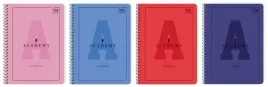 kolozeszyt-a6-80k-kratka-academy-hybrid-3953-a-10