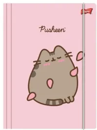 teczka-z-gumka-a4-300-g-m2-pusheen-a10-2315