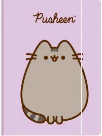 teczka-z-gumka-a4-300-g-m2-pusheen-9544-a-10