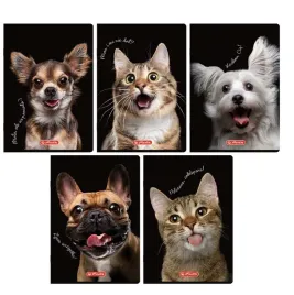 zeszyt-a5-60k-her-crazy-animal-70g-400196838-a-10