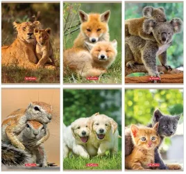 zeszyt-a5-32k-linia-podwojna-kol-animals-3076-a-10
