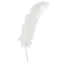 pawie-pioro-biale-dekoracyjne-ozdobne-diy-50cm
