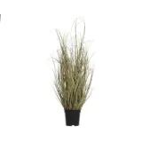 trawa-morska-w-doniczce-78cm