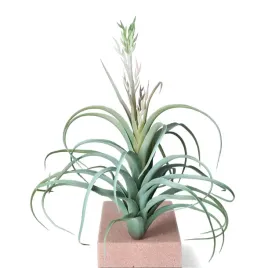 galazka-plastikowa-roslina-sztuczna-40cm-ozdobna