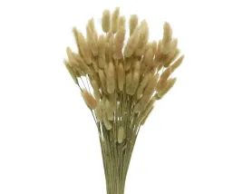 trawa-ozdobna-suszona-naturalny-kolor-dluga-80-cm