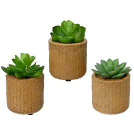 sztuczna-roslinka-zielona-mala-w-doniczce-10cm