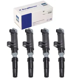 4x-beru-cewka-zaplonowa-renault-laguna-scenic-megane-clio-espace-dacia