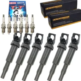 6x-cewki-swiece-bmw-e46-e60-e90-e87-e91-f10-f11-f25-f20-f30-f31-f15-x5