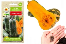 dynia-pizmowa-lunga-di-napoli-nasiona-4g-pizma-019