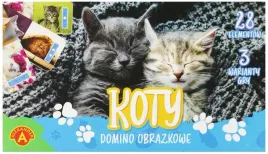 domino-obrazkowe-koty