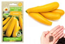 cukinia-goldena-zolta-dluga-smaczna-i-plenna-nasiona-3g-toraf