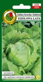 salata-glowiasta-krucha-krolowa-lata-1-g