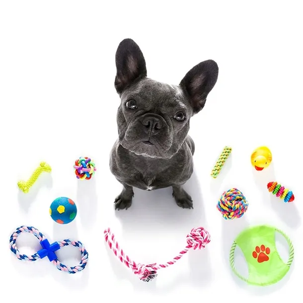 trixie-dentafun-mietowa-pilka-na-przysmaki-dla-psow-5-cm-stan-nowy-waga-z-opakowaniem-0-138-kg