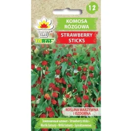 komosa-strawberry-sticks-01g-nasiona-ozdobna-do-ogrodu