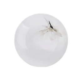 lubiana-porcelanowy-talerz-plytki-obiadowy-deserowy-24cm-boss-magnolia-6474