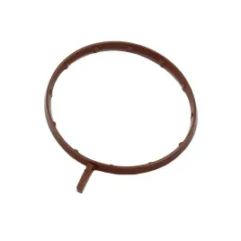 uszczelka-adaptera-filtra-polaris-3610318-oem