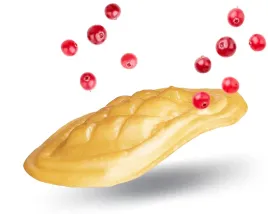 ser-gorski-wedzony-serek-krzemyk-serki-gorskie-30g-stanislaw-strzep