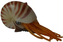 dekoracja-do-akwarium-krewetka-plywajaca-muszla