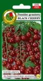 pomidor-gruntowy-black-cherry-05-g