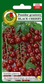 pomidor-gruntowy-black-cherry-05-g
