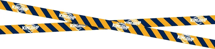 2x-spodnie-robocze-dlugie-king-bhp-basic-fe-gray-r-54-model-basic-fe-gray