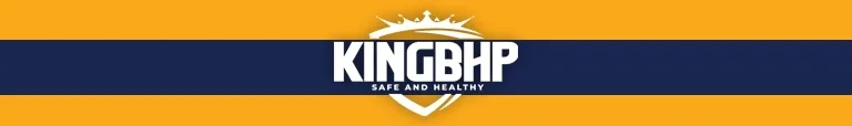 2x-spodnie-robocze-dlugie-king-bhp-basic-fe-gray-r-46
